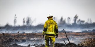 Kanzler besucht nach Urlaub zuerst Waldbrandgebiet Der Brand ist gelöscht, jetzt kommt der Kanzler.