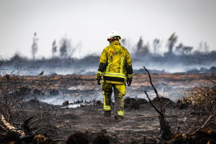 Waldbrand im Hohen Venn Der Brand ist gelöscht, jetzt kommt der Kanzler.
