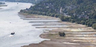 Binnenschifffahrt: Brauchen Klarheit bei Flottenerneuerung Wegen niedriger Pegelstände ist die Binnenschifffahrt in vielen Flüssen wie hier im Rhein derzeit massiv eingeschränkt.