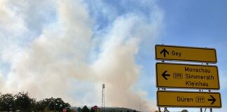 Höhere Waldbrandgefahr: Kommunen wollen mehr Geld vom Bund Im Hürtgenwald in Nordrhein-Westfalen stehen mehrere Hundert Hektar Waldfläche in Flammen.