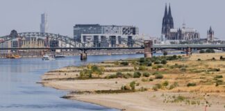Wie das Niedrigwasser der Wirtschaft zusetzt Blick auf Köln mit Sandbänken am Rhein.