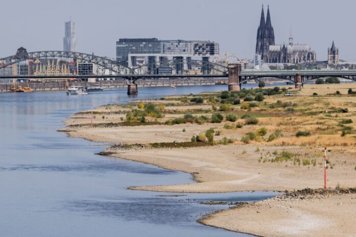 Niedrigwasser am Rhein - Köln Blick auf Köln mit Sandbänken am Rhein.