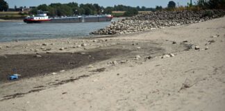 Niedrigwasser: Verkehrsminister will «kurzfristig handeln» Bundesverkehrsminister Bilger will die deutschen Wasserstraßen widerstandsfähiger gegen extremes Niedrigwasser machen. Darüber will er am Donnerstag in Bonn mit Akteuren aus Wirtschaft, Häfen und Schifffahrt sprechen.