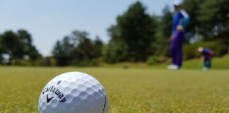 Gegen Krebs: Jeder Schlag zählt im Golfclub Hösel Ein Golfball liegt auf dem Grün. Foto: pixabay