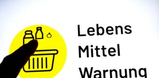 Rückruf von gefrorenen Wildheidelbeeren wegen Salmonellen Betroffen sind mehrere Chargen des Produkts Edeka Bio Wildheidelbeeren tiefgefroren in einer 300-Gramm-Packung. (Symbolbild)