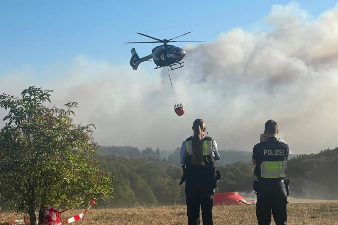 Waldbrand im Hürtgenwald Mehrere Hundert Hektar Waldfläche brennen.