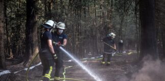 Grüne: «Es ist katastrophal» – mehr Einsatz gegen Waldbrände Dröge: Wichtig seien auch mehr neue Technologien zur Früherkennung und ein europäischer Austausch.