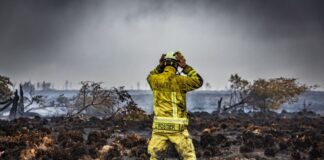 Feuer im Hohen Venn: Wird sich das Moor jemals erholen? Man sollte das Moor so schnell wie möglich wieder vernässen, sagen die Experten.