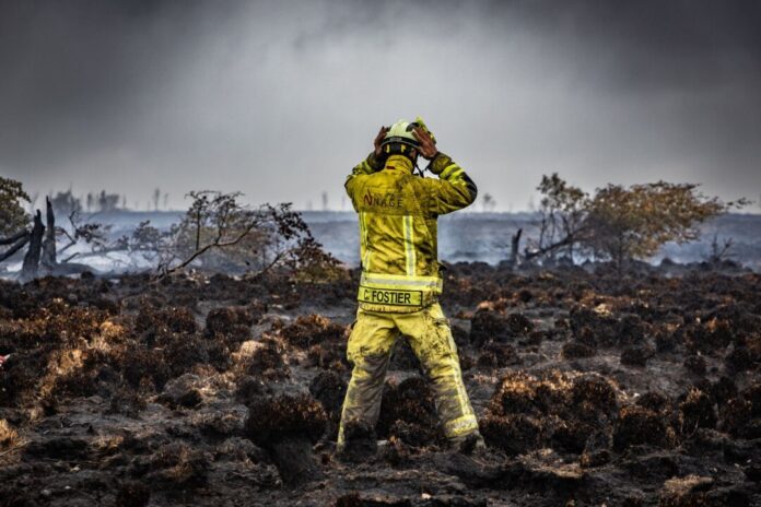 Waldbrand im Hohen Venn Man sollte das Moor so schnell wie möglich wieder vernässen, sagen die Experten.