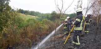 Gewerkschaft: Feuerwehren besser auf Waldbrände vorbereiten Die Feuerwehr-Gewerkschaft fordert: Deutschland muss besser auf Waldbrände vorbereitet sein.