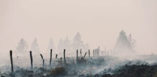 Waldbrand im Hohen Venn bleibt «unberechenbar» Der Flächenbrand im Hohen Venn hat große Schäden angerichtet.