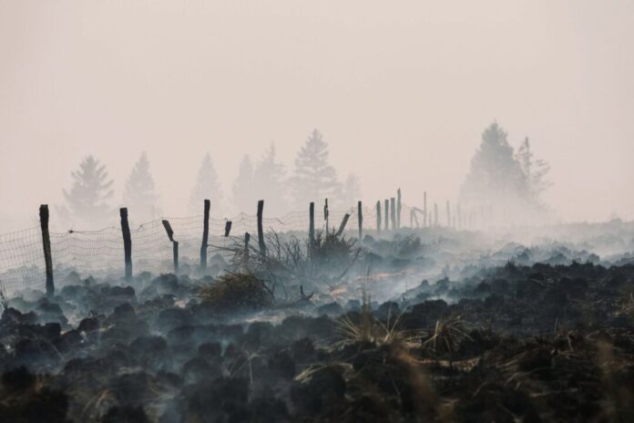 Waldbrand im Hohen Venn Der Flächenbrand im Hohen Venn hat große Schäden angerichtet.