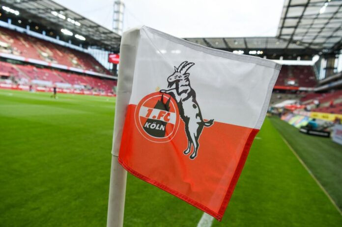 1. FC Köln Der 1. FC Köln leiht Mikey Moore aus. (Archivbild)
