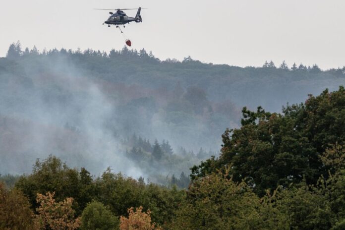 Waldbrand im Hürtgenwald Weiter keine größeren Regenmengen in Sicht im Hürtgenwald.