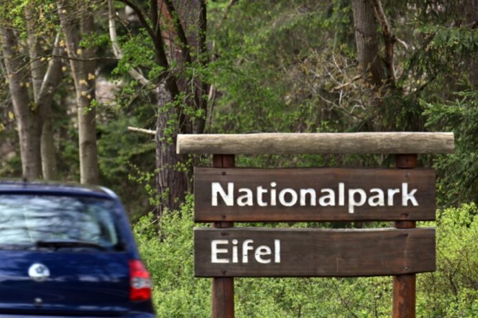 Nationalpark Eifel Nordrhein-Westfalens erster und bislang einziger Nationalpark befindet sich in der Eifel. (Archivbild)