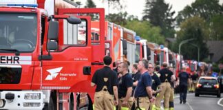 Feuerwehr-Gewerkschaft: Waldbrandbekämpfung braucht Top-Prio Die Deutsche Feuerwehr-Gewerkschaft verlangt Verbesserungen.