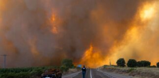 Waldbrände: Feuerwehrleute aus NRW in Spanien angekommen Feuerwehrleute aus Nordrhein-Westfalen unterstützen bei der Brandbekämpfung.