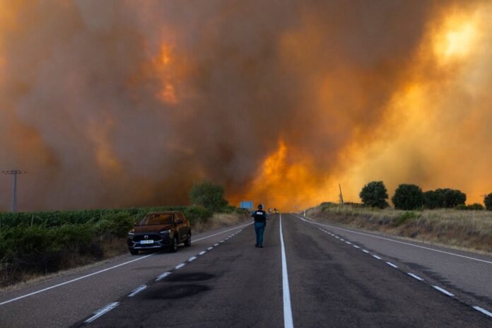 Waldbrände in Spanien Feuerwehrleute aus Nordrhein-Westfalen unterstützen bei der Brandbekämpfung.