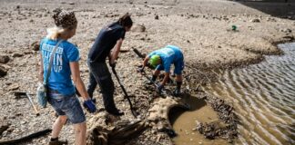 Von Autoreifen bis Zweirädern – die Geheimnisse des Rheins Freiwillige versuchen bei einer Müllsammelaktion bei Niedrigwasser am Rhein einen großen Reifen auszugraben. (Archivbild)