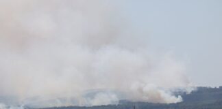 Von Kippe bis Karre: Wie Waldbrände oft entstehen Mehrere Hundert Hektar Waldfläche stehen im Hürtgenwald in Flammen.