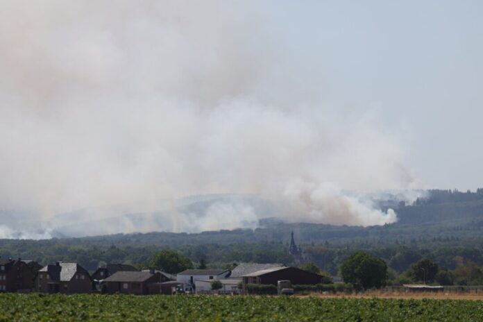 Waldbrand im Hürtgenwald Mehrere Hundert Hektar Waldfläche stehen im Hürtgenwald in Flammen.