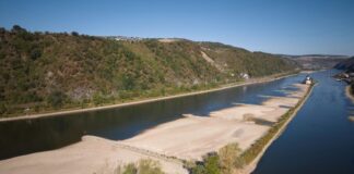 Verkehrsminister: Versorgung trotz Niedrigwasser gesichert Das Niedrigwasser am Rhein könnte sich bald auch im Bau bemerkbar machen.