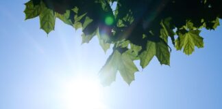 Daten bestätigen flächendeckenden Anstieg der UV-Strahlung Hauptgrund für die Entwicklung sind laut Forschern weniger Wolken. (Symbolbild)
