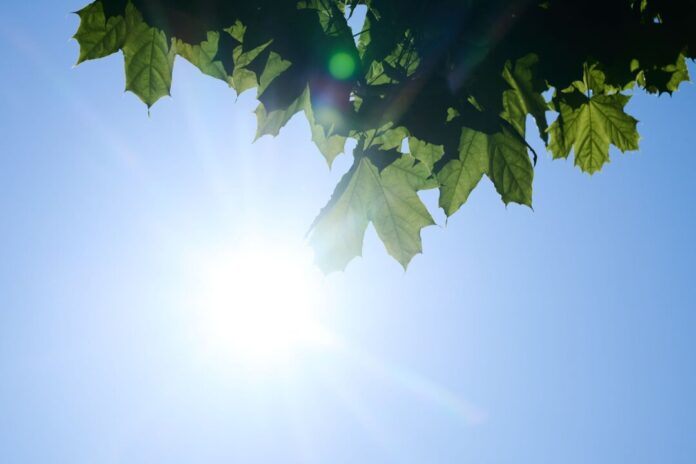 Ozonwerte Hauptgrund für die Entwicklung sind laut Forschern weniger Wolken. (Symbolbild)