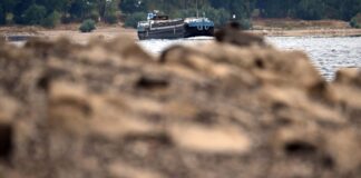 Historischer Tiefstand des Rheins in Köln wieder erreicht Schiffe fahren an Steinen vorbei, die normalerweise unter der Wasseroberfläche liegen.