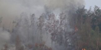 Waldbrand: Betreuungsstellen für Anwohner verlegt Mehrere Hundert Hektar Waldfläche brennen.