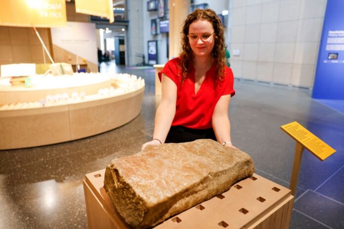 Haus der Geschichte stellt Hungerstein aus Leverkusen vor Lotta Westdorf, Mitarbeiterin des Hauses der Geschichte in Bonn, zeigt den von ihr aus dem Rhein geborgenen Hungerstein.