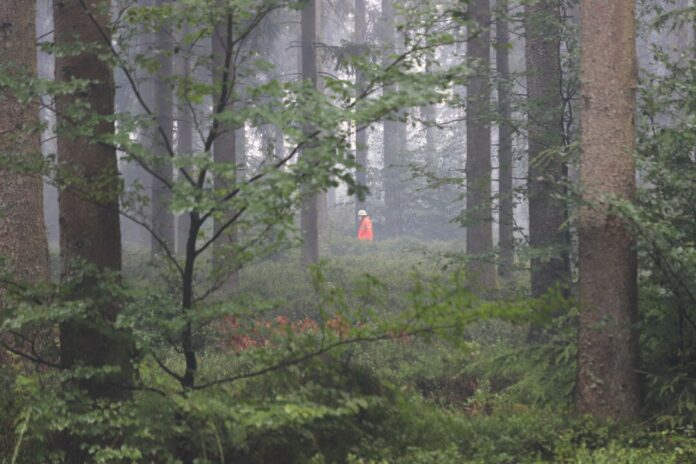 Waldbrand im Hohen Venn Der kräftezehrende Einsatz dauert an.