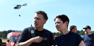 Ministerin Gorißen: Müssen aus den Waldbränden lernen Es braucht mehr Maßnahmen gegen Waldbrände, sagt die CDU-Ministerin.