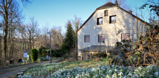 Stöbern und entdecken: Flohmarkt im Naturfreundehaus Tönisheide