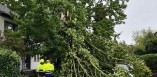 Unwetter trifft Ratingen. Feuerwehr mehrfach gefordert An mehreren Stellen im Stadtgebiet stürzten Bäume um. Foto: Feuerwehr Ratingen
