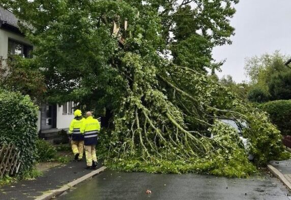 (C)Feuerwehr Ratingen An mehreren Stellen im Stadtgebiet stürzten Bäume um. Foto: Feuerwehr Ratingen