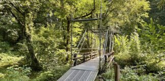Brückenbau im Düsseltal geht in die nächste Runde Die marode Brücke wird momentan durch ein Stahlgerüst gesichert und in den kommenden Wochen gegen eine neue ausgetauscht. Foto: Kreis Mettmann