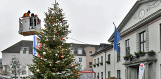 Tannenbaum für Heiligenhauser Rathausplatz gesucht