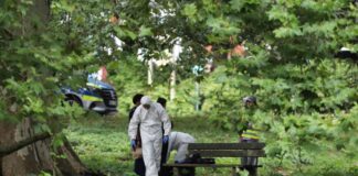 24-Jähriger stellt sich nach tödlichem Messerstich Verdächtiger stellt sich nach tödlichem Stich. (Archivbild)