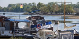 Negative Pegelwerte – Rekordniedrigwasser des Rheins Zu wenig Wasser: Bei Oestrich-Winkel im hessischen Rheingau liegen Sportboote auf dem Grund des Rheins.