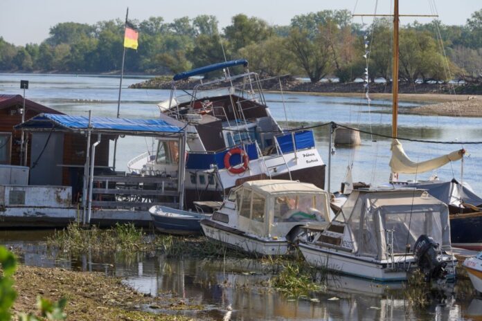 Niedrigwasser im Rhein Zu wenig Wasser: Bei Oestrich-Winkel im hessischen Rheingau liegen Sportboote auf dem Grund des Rheins.
