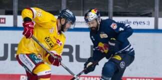 Krefeld Pinguine holen Ex-DEG-Stürmer Varone Der einstige DEG-Stürmer Phil Varone (l) spielt künftig für Krefeld. (Archivbild)