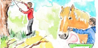 Freie Plätze bei den Bürgeler Herbstferienaktionstagen Ein Auszug aus einer herbstlichen Illustration. Bild: Dana Pfeiffer/Haus Bürgel