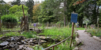 Erster Preis geht nach Heiligenhaus – Insektenfreundlicher Naturgarten auf dem Friedhof