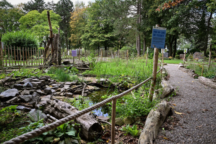 Natur-Schaugarten auf dem Friedhof