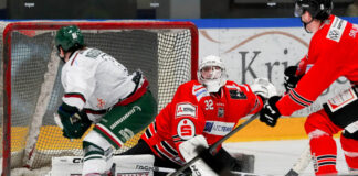 Ice Aliens liefern trotz Belastung ab: Guter Test gegen Herne Mit 3:5 haben die Ice Aliens gegen Herne verloren. Foto: Daniela Schmidt
