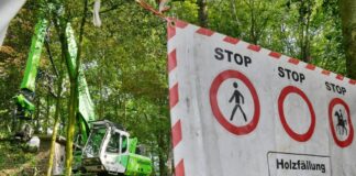 Hunde-Ärger im Langenhorster Wald in Velbert Der Langenhorster Wald ist ein Landschaftsschutzgebiet: Die Natur und deren Pflege sowie die Tiere sind wichtig, die Bereiche dienen allerdings auch der Erholung. Archivfoto: Kehren