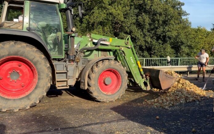 Motorradfahrer rutscht auf Zwiebeln aus Auf einer Strecke von 700 Metern hat ein Landwirt Zwiebeln auf einer Straße verloren.