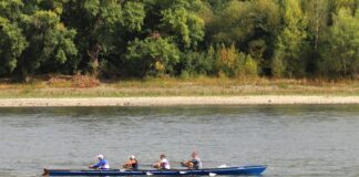 Rhein erreicht abermals Rekordtiefstände in NRW In Nordrhein-Westfalen führt der Rhein weiterhin wenig Wasser. Die Pegelstände haben Rekordwerte. (Archivbild)