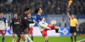 SC Paderborn holt HSV-Stürmer Philippe Wechselt vom Hamburger SV zum SC Paderborn: Stürmer Rayan Philippe.